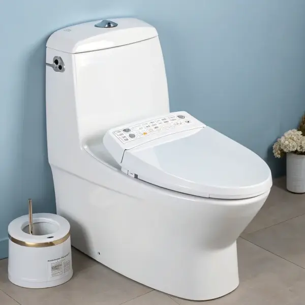 Japanese Porcelain Toilet Cover